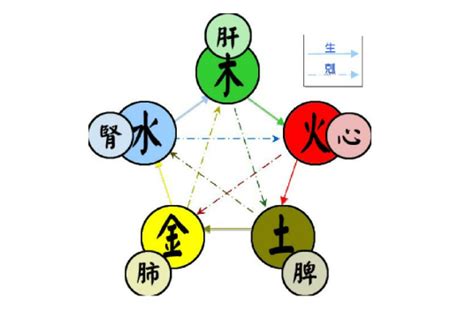 东五行|五行（对万事万物的取象比类）